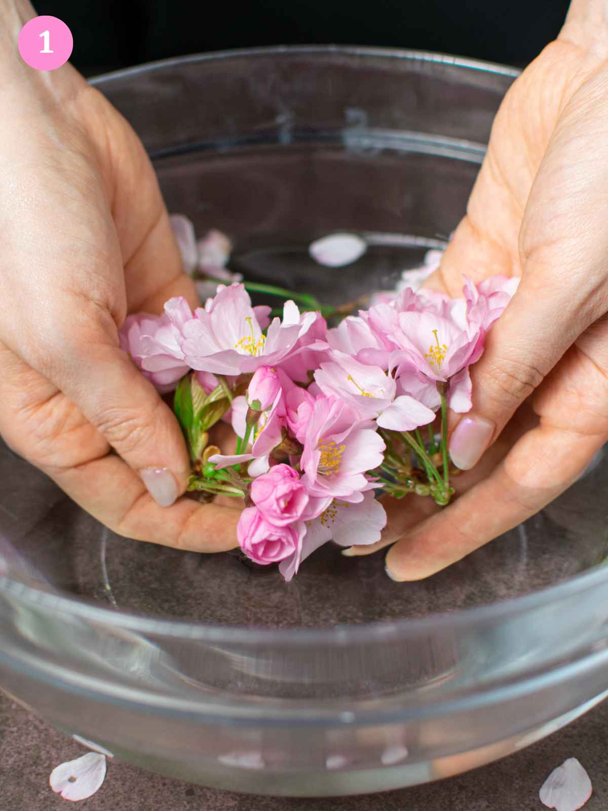 Cleaning flowers in bowl with water